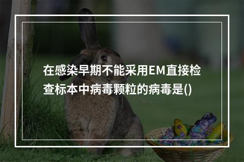 在感染早期不能采用EM直接检查标本中病毒颗粒的病毒是()