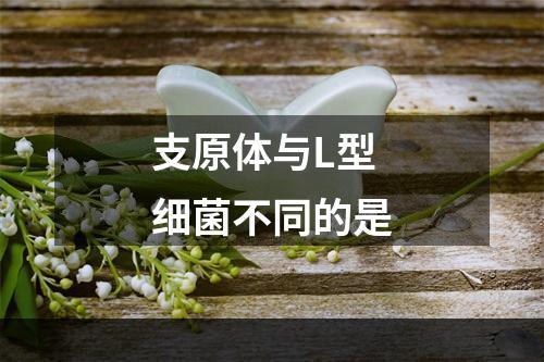 支原体与L型细菌不同的是