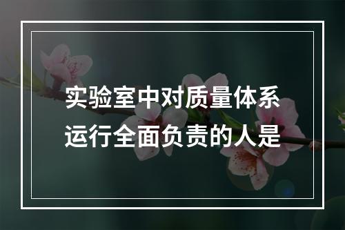 实验室中对质量体系运行全面负责的人是