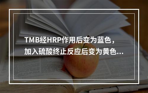 TMB经HRP作用后变为蓝色，加入硫酸终止反应后变为黄色，最