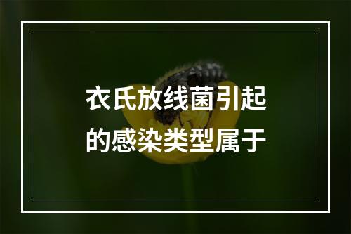 衣氏放线菌引起的感染类型属于