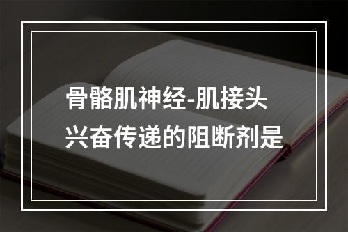 骨骼肌神经-肌接头兴奋传递的阻断剂是