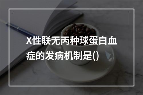 X性联无丙种球蛋白血症的发病机制是()