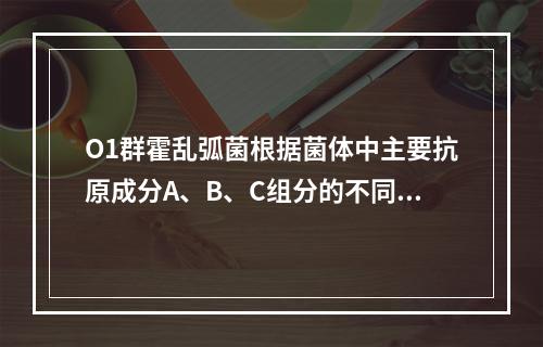 O1群霍乱弧菌根据菌体中主要抗原成分A、B、C组分的不同分为