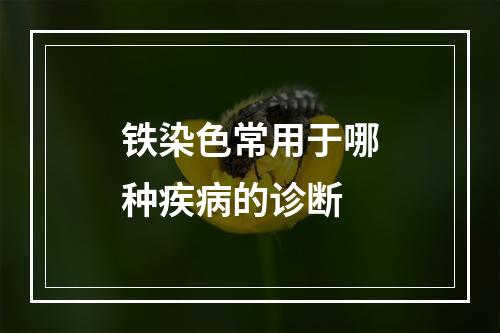 铁染色常用于哪种疾病的诊断