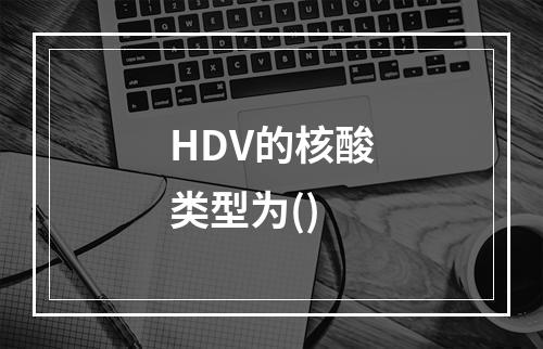 HDV的核酸类型为()