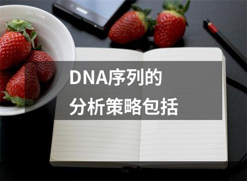 DNA序列的分析策略包括