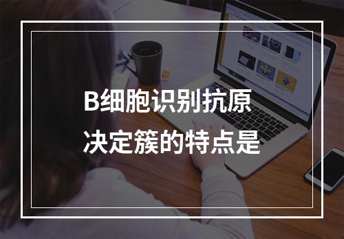 B细胞识别抗原决定簇的特点是