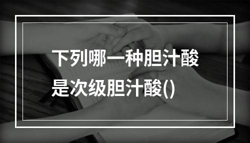 下列哪一种胆汁酸是次级胆汁酸()