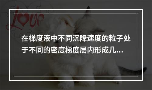 在梯度液中不同沉降速度的粒子处于不同的密度梯度层内形成几条分