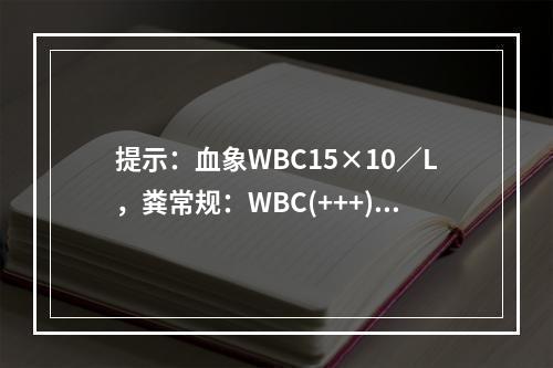 提示：血象WBC15×10／L，粪常规：WBC(+++)，R