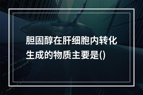 胆固醇在肝细胞内转化生成的物质主要是()