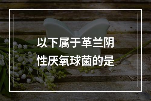 以下属于革兰阴性厌氧球菌的是