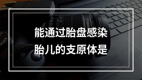 能通过胎盘感染胎儿的支原体是