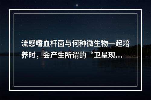 流感嗜血杆菌与何种微生物一起培养时，会产生所谓的“卫星现象”