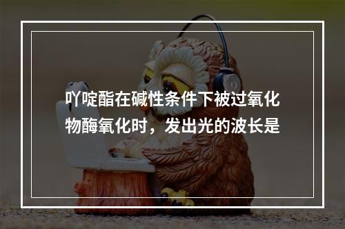 吖啶酯在碱性条件下被过氧化物酶氧化时，发出光的波长是