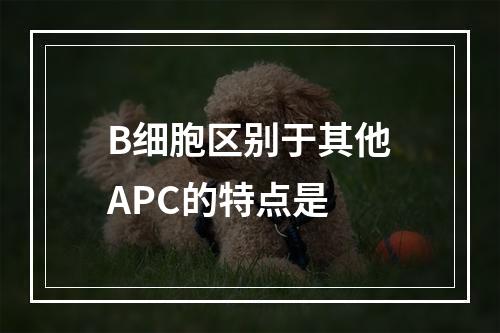 B细胞区别于其他APC的特点是