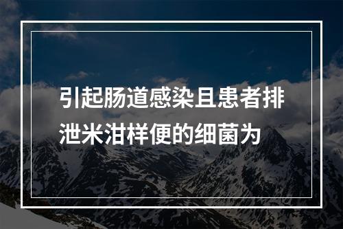 引起肠道感染且患者排泄米泔样便的细菌为