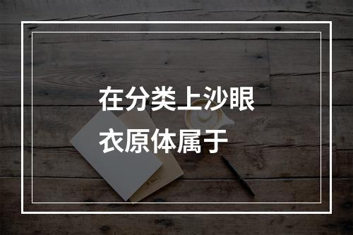 在分类上沙眼衣原体属于