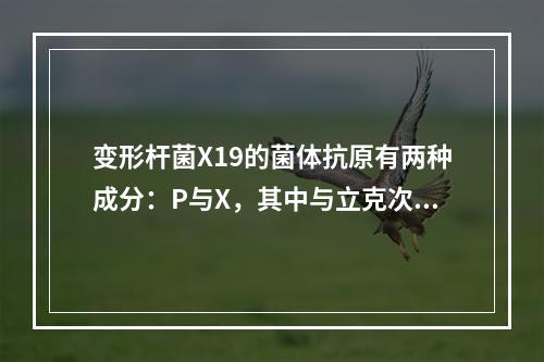 变形杆菌X19的菌体抗原有两种成分：P与X，其中与立克次体部