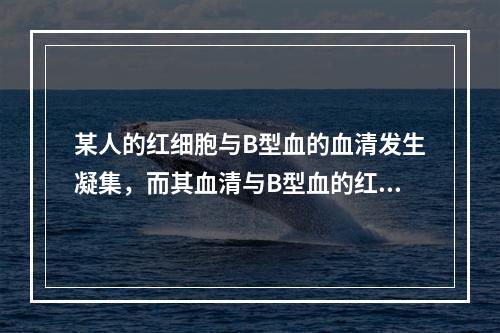 某人的红细胞与B型血的血清发生凝集，而其血清与B型血的红细胞