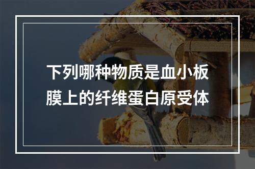 下列哪种物质是血小板膜上的纤维蛋白原受体