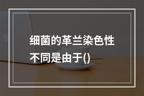 细菌的革兰染色性不同是由于()