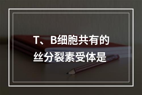 T、B细胞共有的丝分裂素受体是