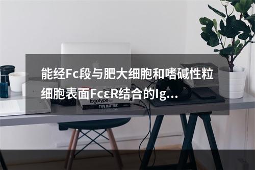 能经Fc段与肥大细胞和嗜碱性粒细胞表面FcεR结合的Ig是(