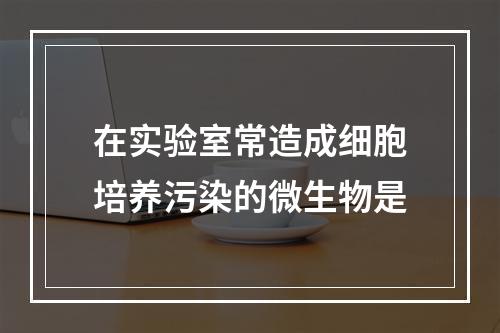 在实验室常造成细胞培养污染的微生物是