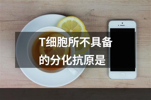 T细胞所不具备的分化抗原是