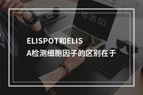 ELISPOT和ELISA检测细胞因子的区别在于