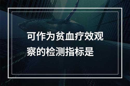 可作为贫血疗效观察的检测指标是