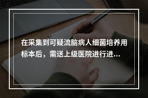 在采集到可疑流脑病人细菌培养用标本后，需送上级医院进行进一步