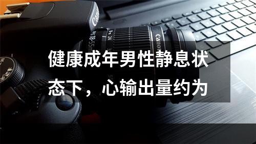 健康成年男性静息状态下，心输出量约为