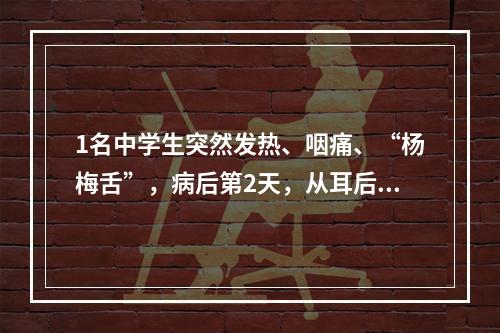 1名中学生突然发热、咽痛、“杨梅舌”，病后第2天，从耳后、颈