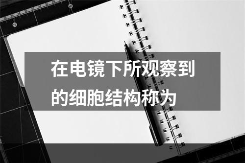 在电镜下所观察到的细胞结构称为