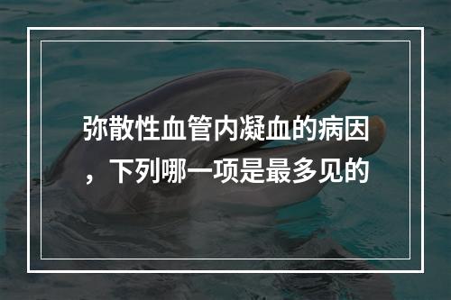 弥散性血管内凝血的病因，下列哪一项是最多见的