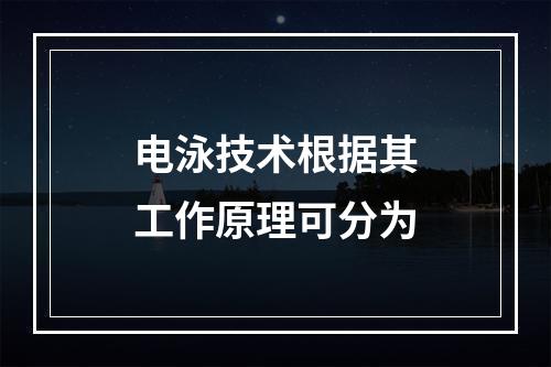 电泳技术根据其工作原理可分为