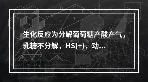 生化反应为分解葡萄糖产酸产气，乳糖不分解，HS(+)，动力(