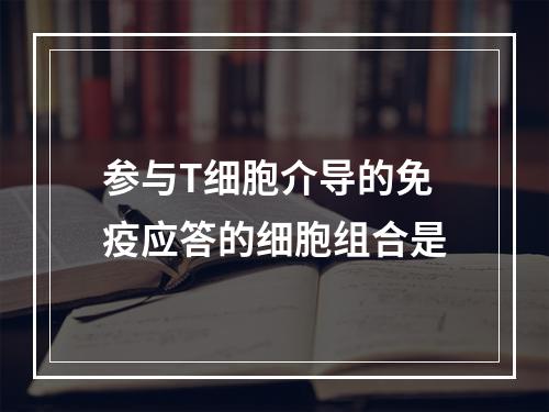 参与T细胞介导的免疫应答的细胞组合是