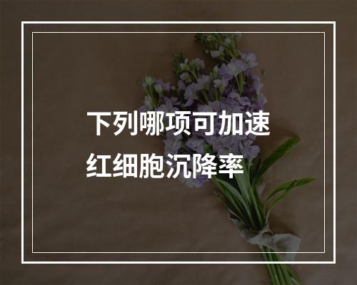 下列哪项可加速红细胞沉降率