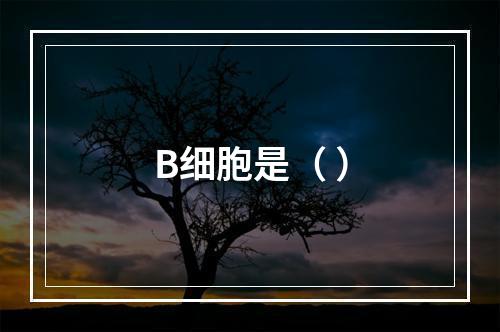 B细胞是（ ）