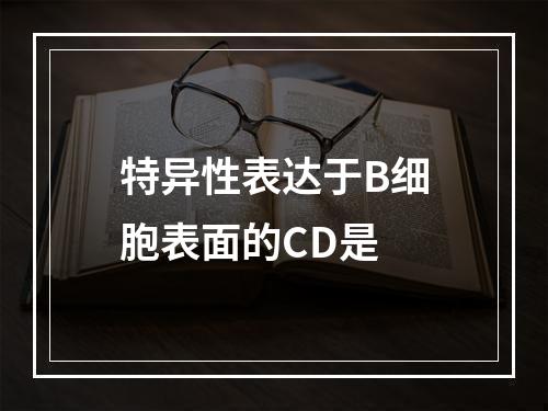 特异性表达于B细胞表面的CD是