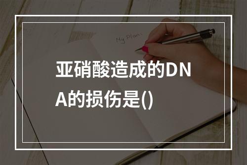 亚硝酸造成的DNA的损伤是()