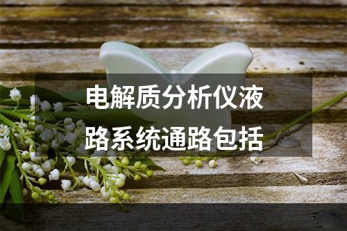 电解质分析仪液路系统通路包括