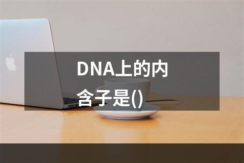 DNA上的内含子是()