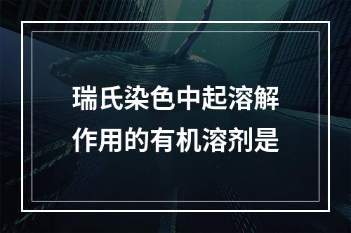 瑞氏染色中起溶解作用的有机溶剂是