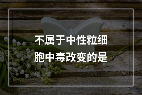 不属于中性粒细胞中毒改变的是