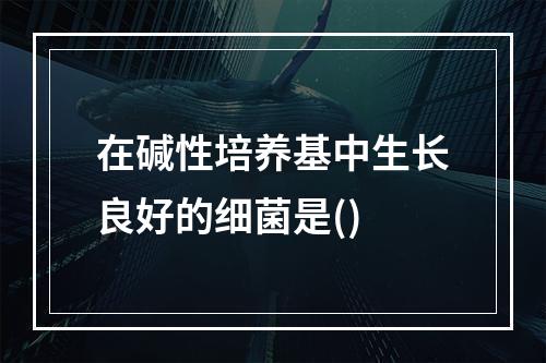 在碱性培养基中生长良好的细菌是()